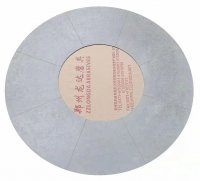 Fully coated diamond grinding pad